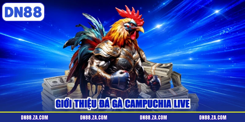 Giới thiệu đá gà Campuchia live