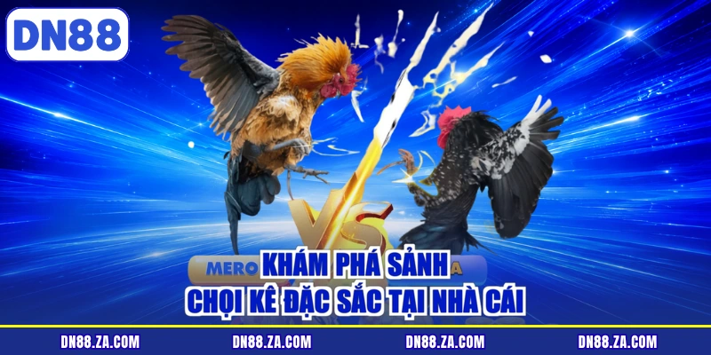 Khám phá sảnh chọi kê đặc sắc tại nhà cái
