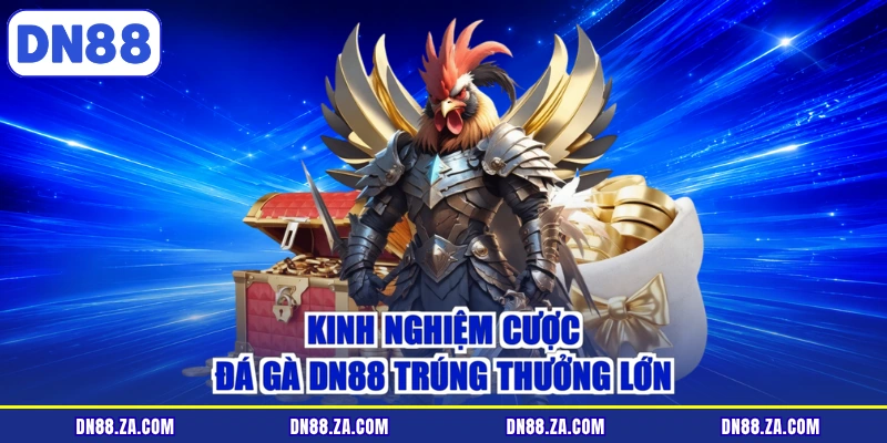 Kinh nghiệm cược đá gà DN88 trúng thưởng lớn
