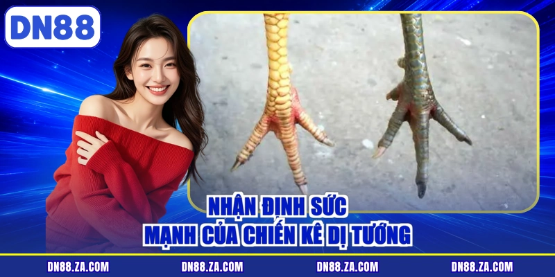 Nhận định sức mạnh của chiến kê dị tướng