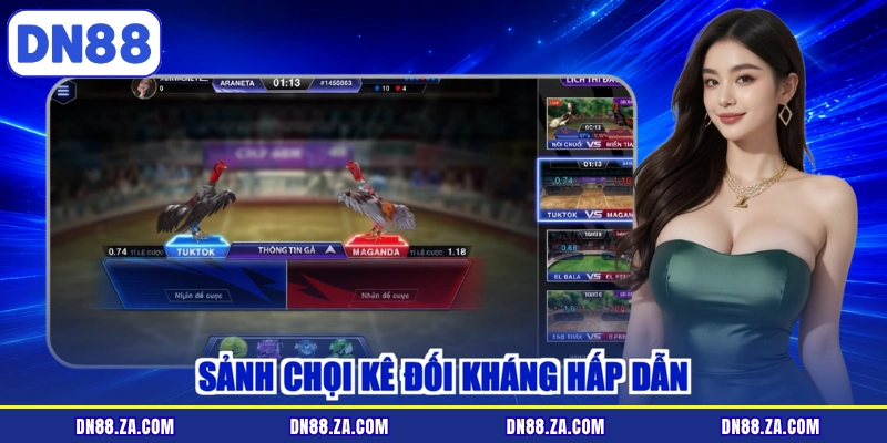 Sảnh chọi kê đối kháng hấp dẫn